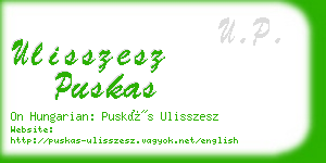 ulisszesz puskas business card